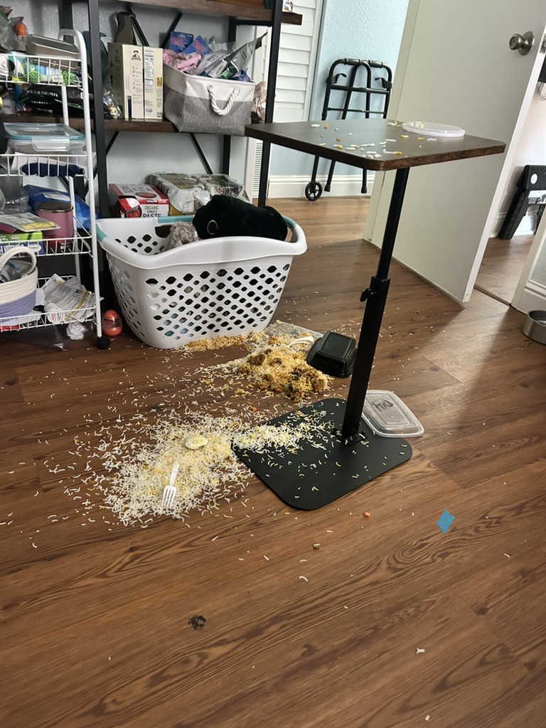 Takeout containers of food spilled across the floor, scattered and partially out of the containers.