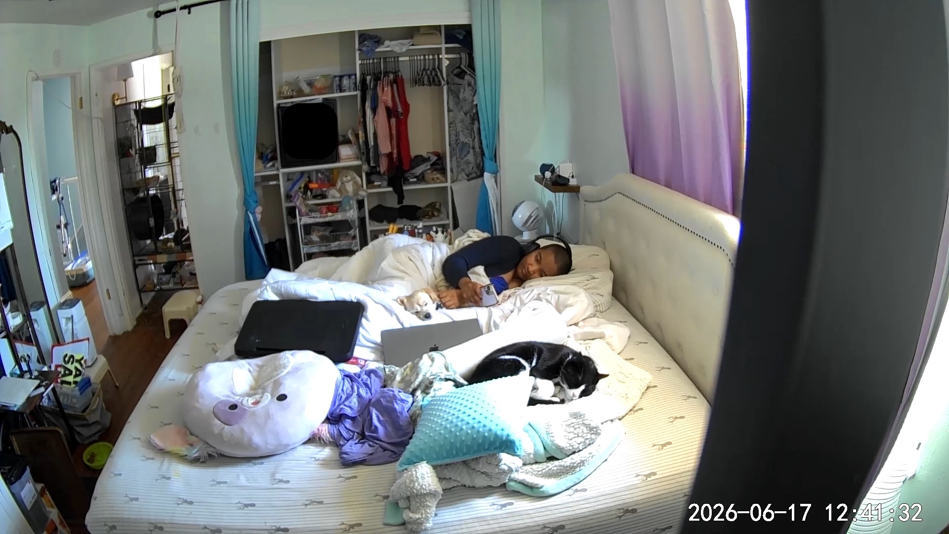 Harshini lies on her side in bed near a small dog, while a black cat sleeps on pillows closer to the camera. A laptop and phone are nearby, showing rest, companionship, and work sharing the same space.